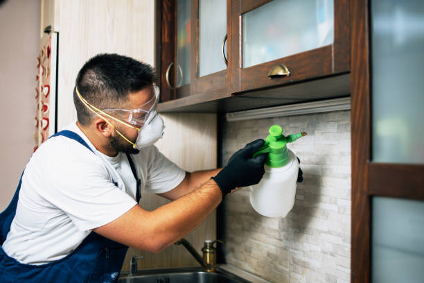 Best Mosquito Control Services  in Arrowhead Beach, NC