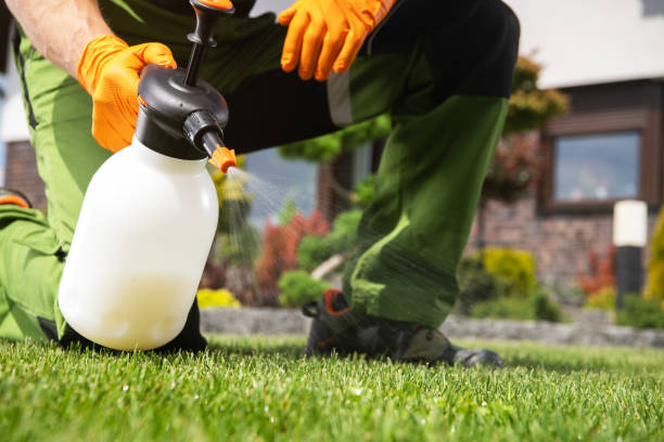 Best Affordable Pest Control Services  in Arrowhead Beach, NC