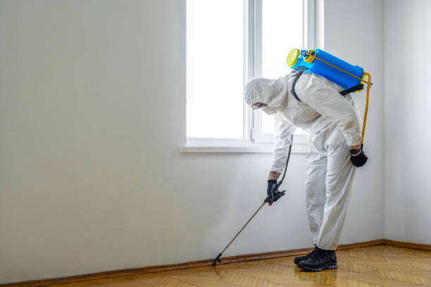 Best Affordable Pest Control Services  in Arrowhead Beach, NC
