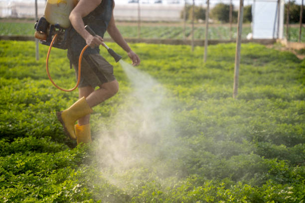 Best Exterminator Services  in Arrowhead Beach, NC