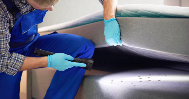 Best Rat Extermination Near Me  in Arrowhead Beach, NC