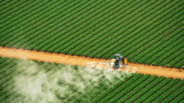 Best Commercial Pest Control Services  in Arrowhead Beach, NC