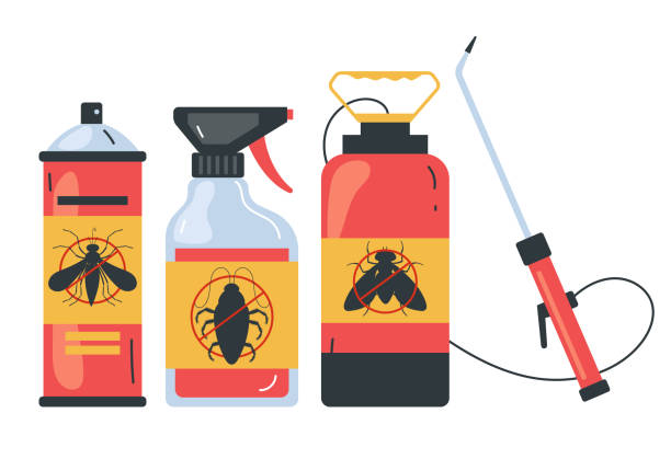 Trusted Arrowhead Beach, NC Pest Control Experts