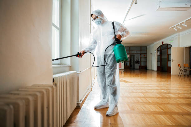 Wasp Removal Services in Arrowhead Beach, NC