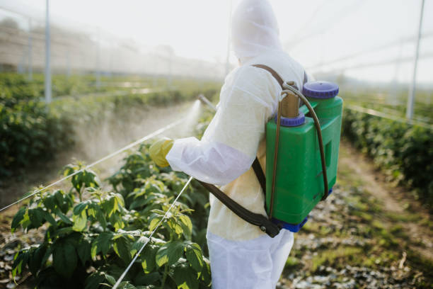 Best Insect Control  in Arrowhead Beach, NC
